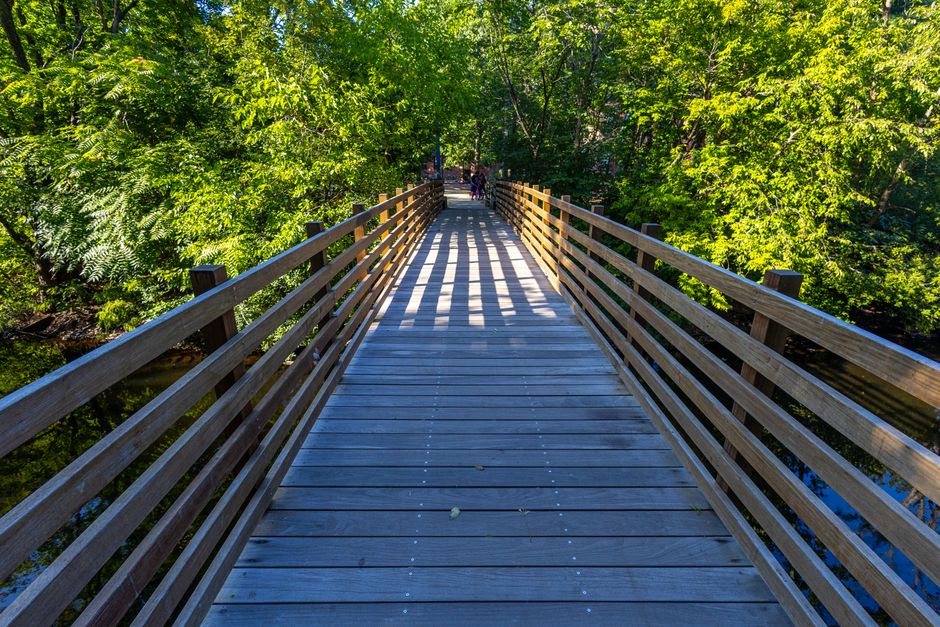 A wooden pedestrian bridge with horizontal railings, casting striped shadows on the planked surface, surrounded by lush green trees and foliage. The bridge appears to be in a park setting, with sunlig