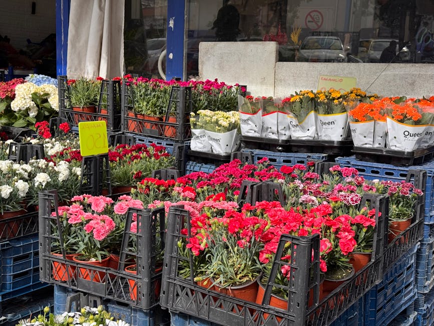 A display of flowering plants at a florist's outdoor setup, featuring pink, red, orange, white, and yellow blooms arranged in terracotta pots within black plastic crates. The flowers include carnation